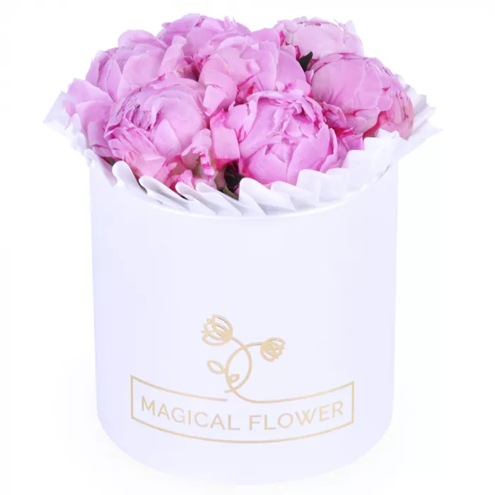 Букет из 7 розовых пионов в белой шляпной коробке