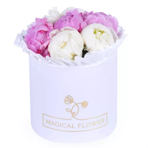 Букет из 7 разноцветных пионов в шляпной коробке