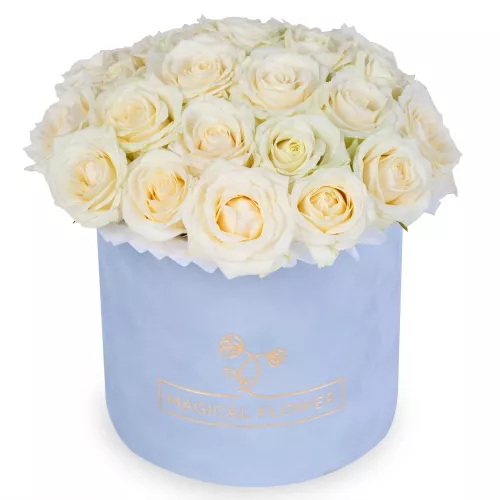 Букет из 25 белых роз premium в серой бархатной шляпной коробке Букет из 25 белых роз premium в серой бархатной шляпной коробке