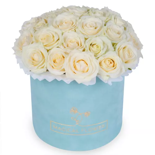 25 белых роз premium в зеленой бархатной шляпной коробке