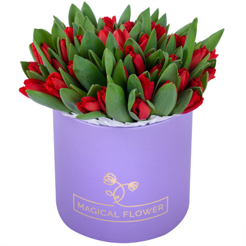 51 красный тюльпан в фиолетовой шляпной коробке
