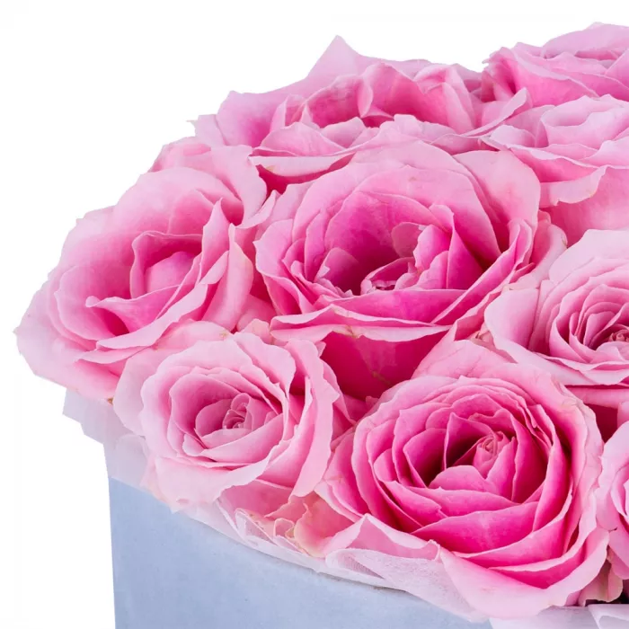 Букет из 19 розовых роз premium в серой бархатной шляпной коробке