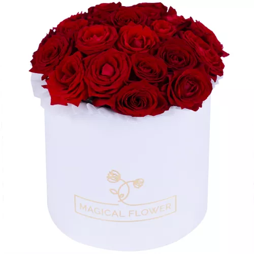 Букет из 21 красной розы premium в белой шляпной коробке Букет из 21 красной розы premium в белой шляпной коробке