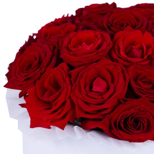 Букет из 21 красной розы premium в белой шляпной коробке