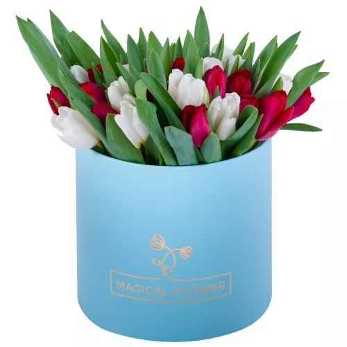 Весенний букет из 51 разноцветного тюльпана в голубой шляпной коробке