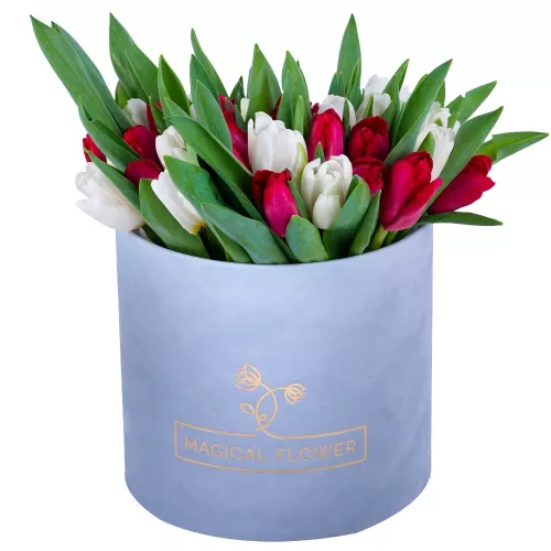 51 Разноцветный тюльпан в серой бархатной шляпной коробке