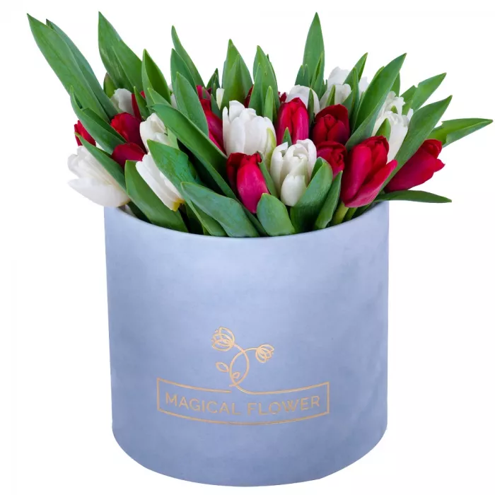 51 Разноцветный тюльпан в серой бархатной шляпной коробке