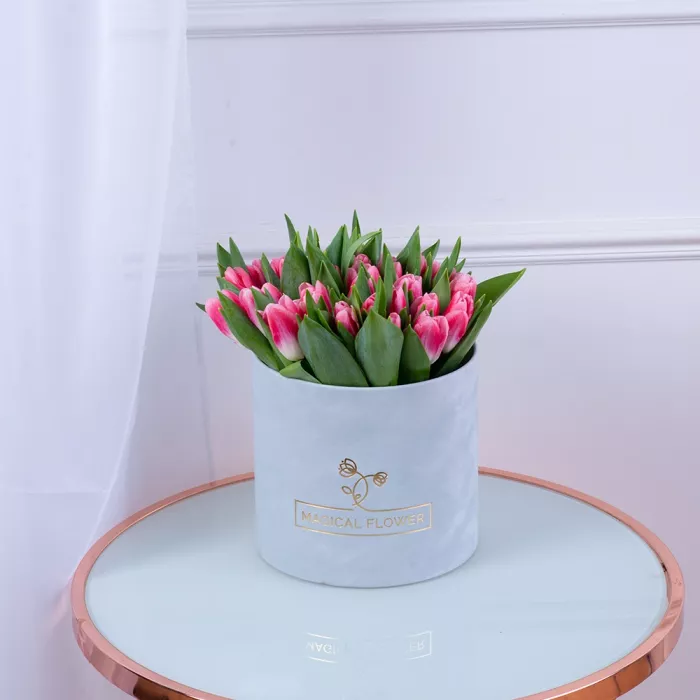 51 Бело-малиновый тюльпан в серой бархатной шляпной коробке