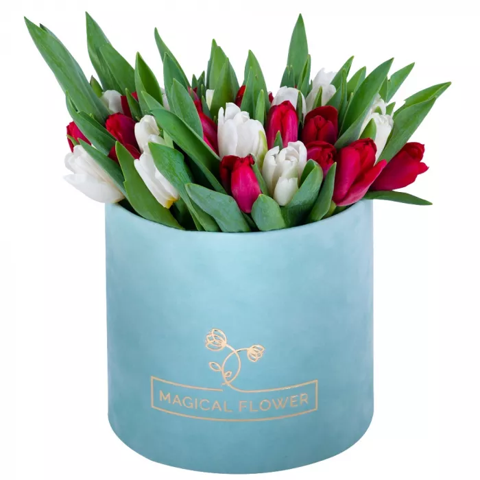 51 Разноцветный тюльпан в зеленой бархатной шляпной коробке