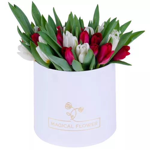 51 Разноцветный тюльпан в белой шляпной коробке