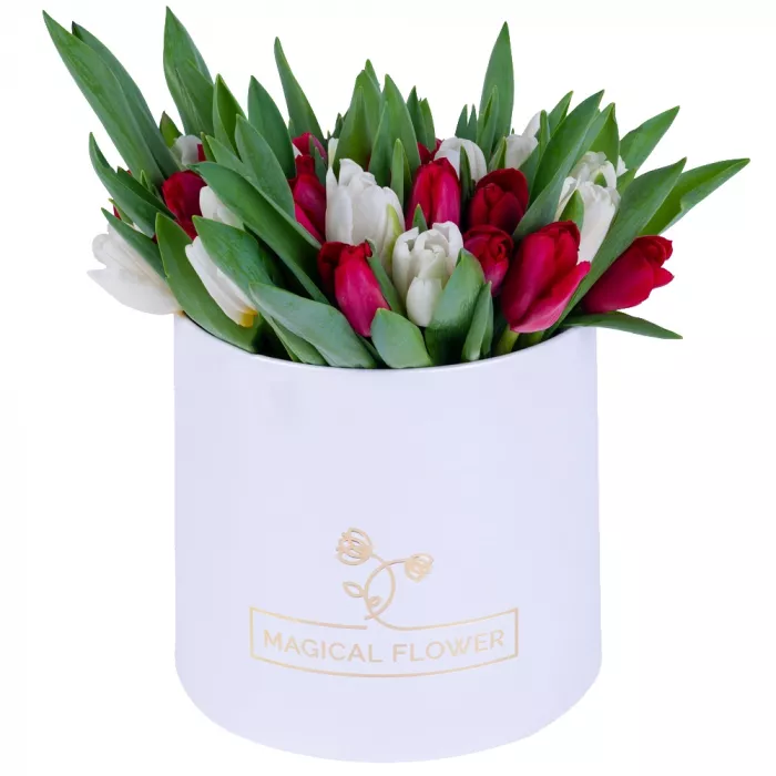 51 Разноцветный тюльпан в белой шляпной коробке