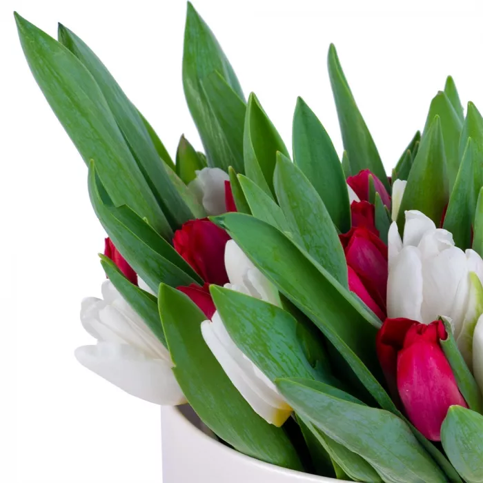 51 Разноцветный тюльпан в кремовой шляпной коробке