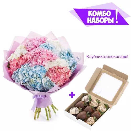 Букет из 11 разноцветных гортензий - клубника в шоколаде в подарок!