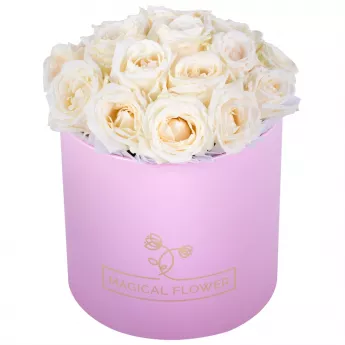 Букет из 19 белых роз premium в розовой шляпной коробке