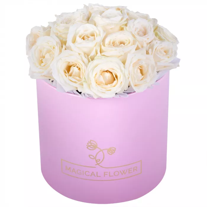 Букет из 19 белых роз premium в розовой шляпной коробке