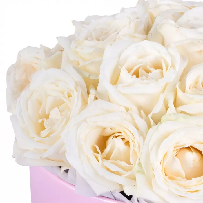 Букет из 19 белых роз premium в розовой шляпной коробке