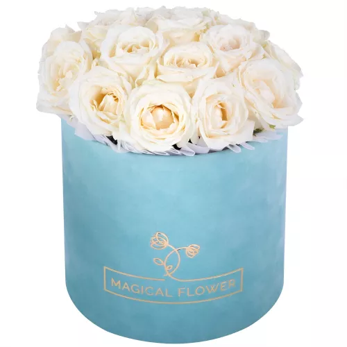 Букет из 19 белых роз premium в зеленой бархатной шляпной коробке Букет из 19 белых роз premium в зеленой бархатной шляпной коробке