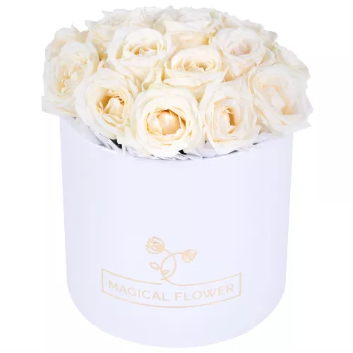 Букет из 19 белых роз premium в белой шляпной коробке Букет из 19 белых роз premium в белой шляпной коробке