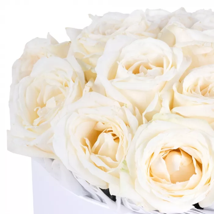 Букет из 19 белых роз premium в белой шляпной коробке