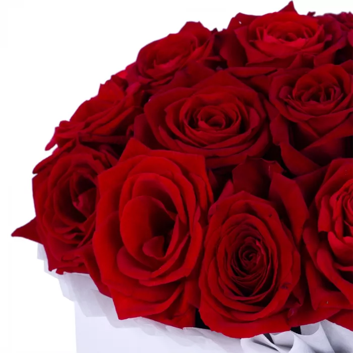 Букет из 19 красных роз premium в белой шляпной коробке
