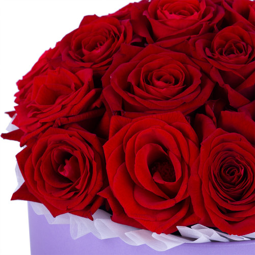 Букет из 19 красных роз premium в фиолетовой шляпной коробке