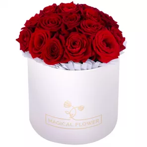 Букет из 19 красных роз premium в кремовой шляпной коробке