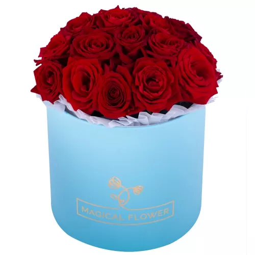 Букет из 19 красных роз premium в голубой шляпной коробке Букет из 19 красных роз premium в голубой шляпной коробке