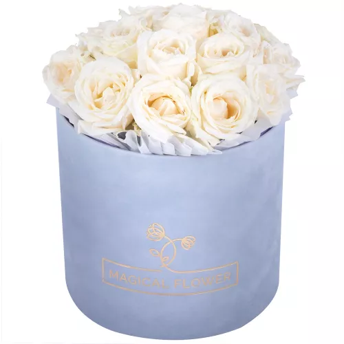 Букет из 19 белых роз premium в серой бархатной шляпной коробке Букет из 19 белых роз premium в серой бархатной шляпной коробке