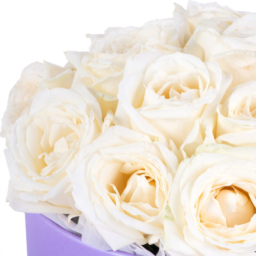 Букет из 19 белых роз premium в фиолетовой шляпной коробке