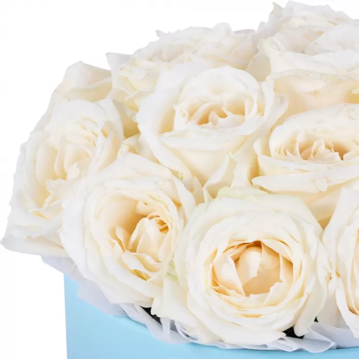 Букет из 19 белых роз premium в голубой шляпной коробке