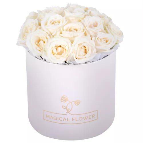 Букет из 19 белых роз premium в кремовой шляпной коробке Букет из 19 белых роз premium в кремовой шляпной коробке