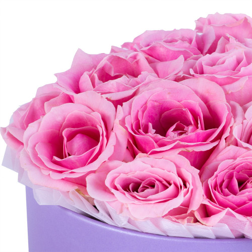 Букет из 19 розовых роз premium в фиолетовой шляпной коробке