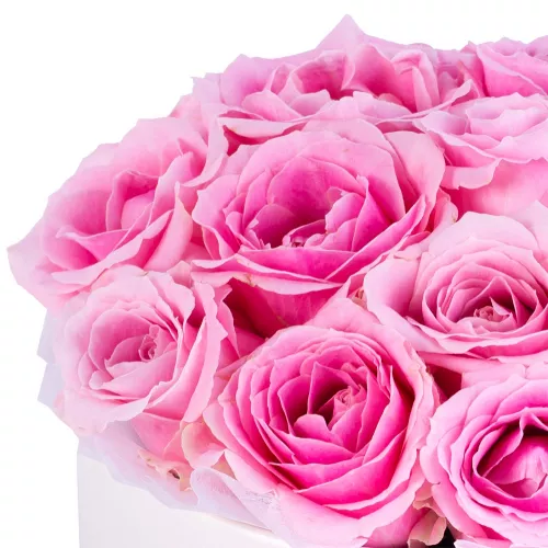 Букет из 19 розовых роз premium в кремовой шляпной коробке