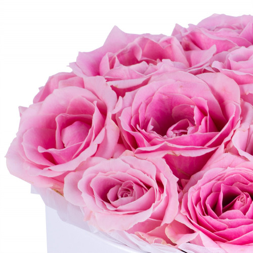 Букет из 19 розовых роз premium в белой шляпной коробке