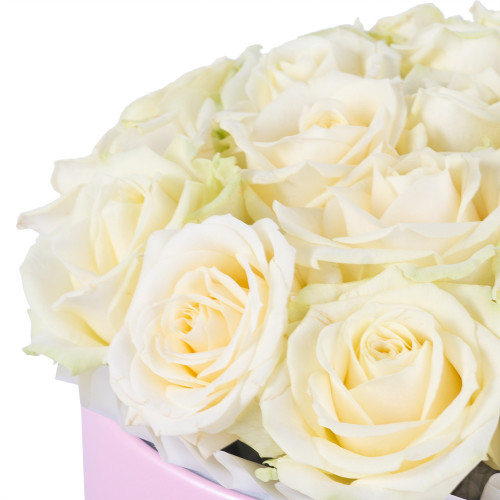 Букет из 21 белой розы premium в розовой шляпной коробке