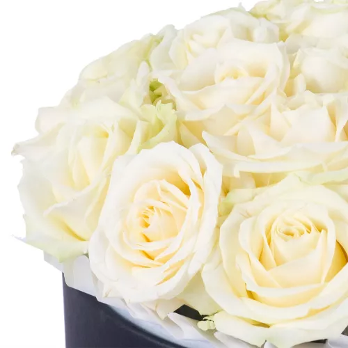 Букет из 21 белой розы premium в черной шляпной коробке