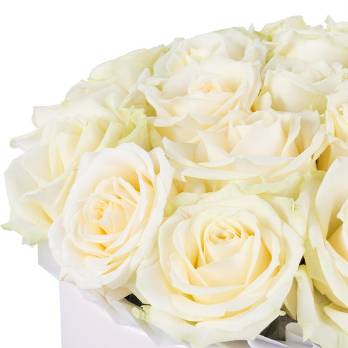 Букет из 21 белой розы premium в кремовой шляпной коробке