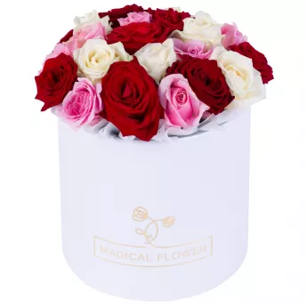 Букет из 21 разноцветной розы premium в белой шляпной коробке