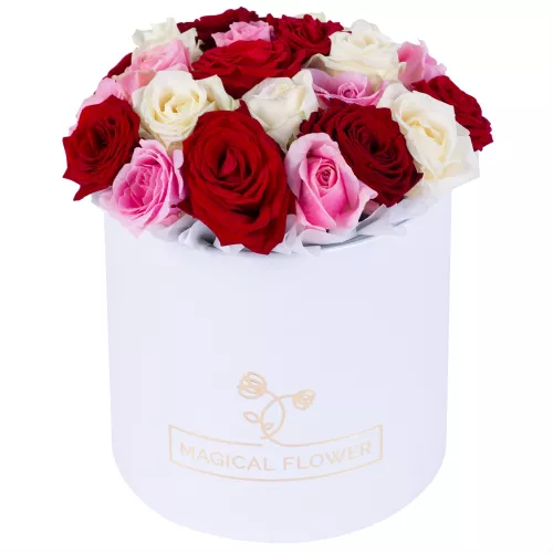 Букет из 21 разноцветной розы premium в белой шляпной коробке Букет из 21 разноцветной розы premium в белой шляпной коробке