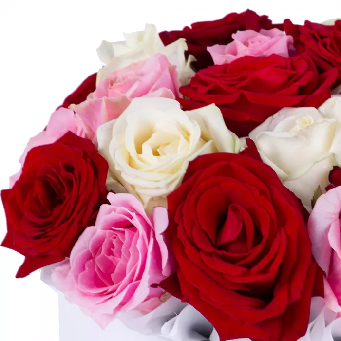 Букет из 21 разноцветной розы premium в белой шляпной коробке