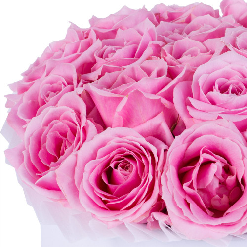 Авторский букет из 21 розовой розы premium в белой шляпной коробке
