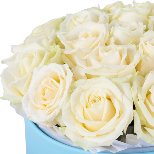 Букет из 21 белой розы premium в голубой шляпной коробке