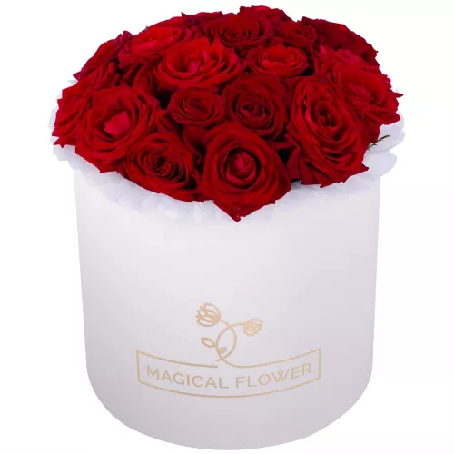 Букет из 21 красной розы premium в кремовой шляпной коробке