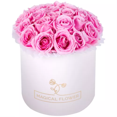 Букет из 21 розовой розы premium в кремовой шляпной коробке