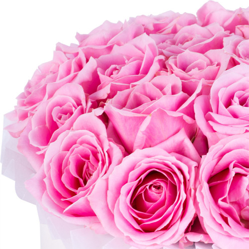 Букет из 21 розовой розы premium в кремовой шляпной коробке