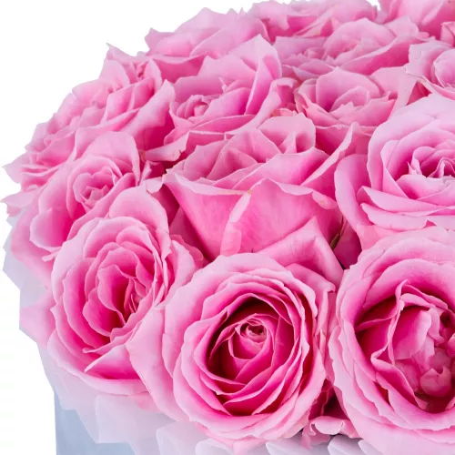 Букет из 21 розовой розы premium в серой бархатной шляпной коробке
