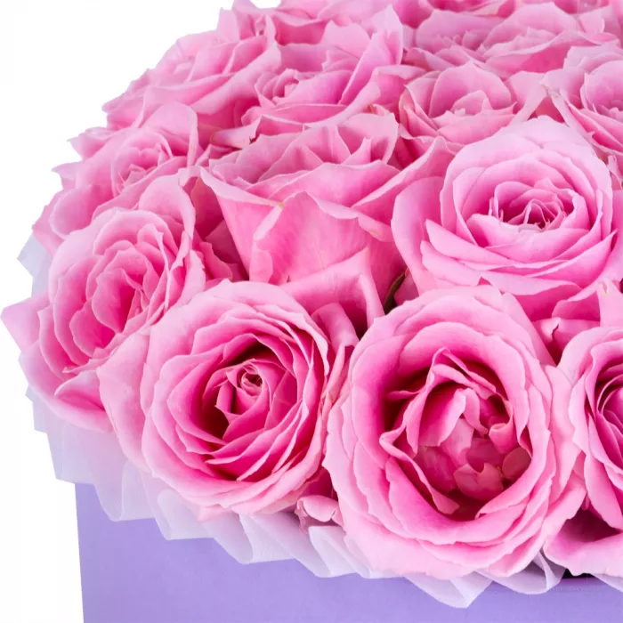 Букет из 21 розовой розы premium в фиолетовой шляпной коробке