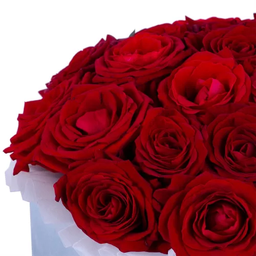 Букет из 21 красной розы premium в серой бархатной шляпной коробке