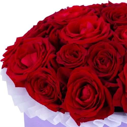 Авторский букет из живых цветов из 21 красной розы premium в фиолетовой шляпной коробке