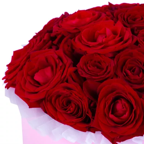 Авторский букет цветов из 21 красной розы premium в розовой шляпной коробке